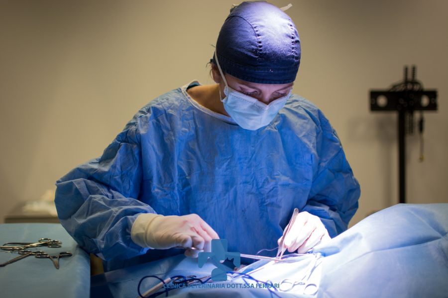 Endoscopia